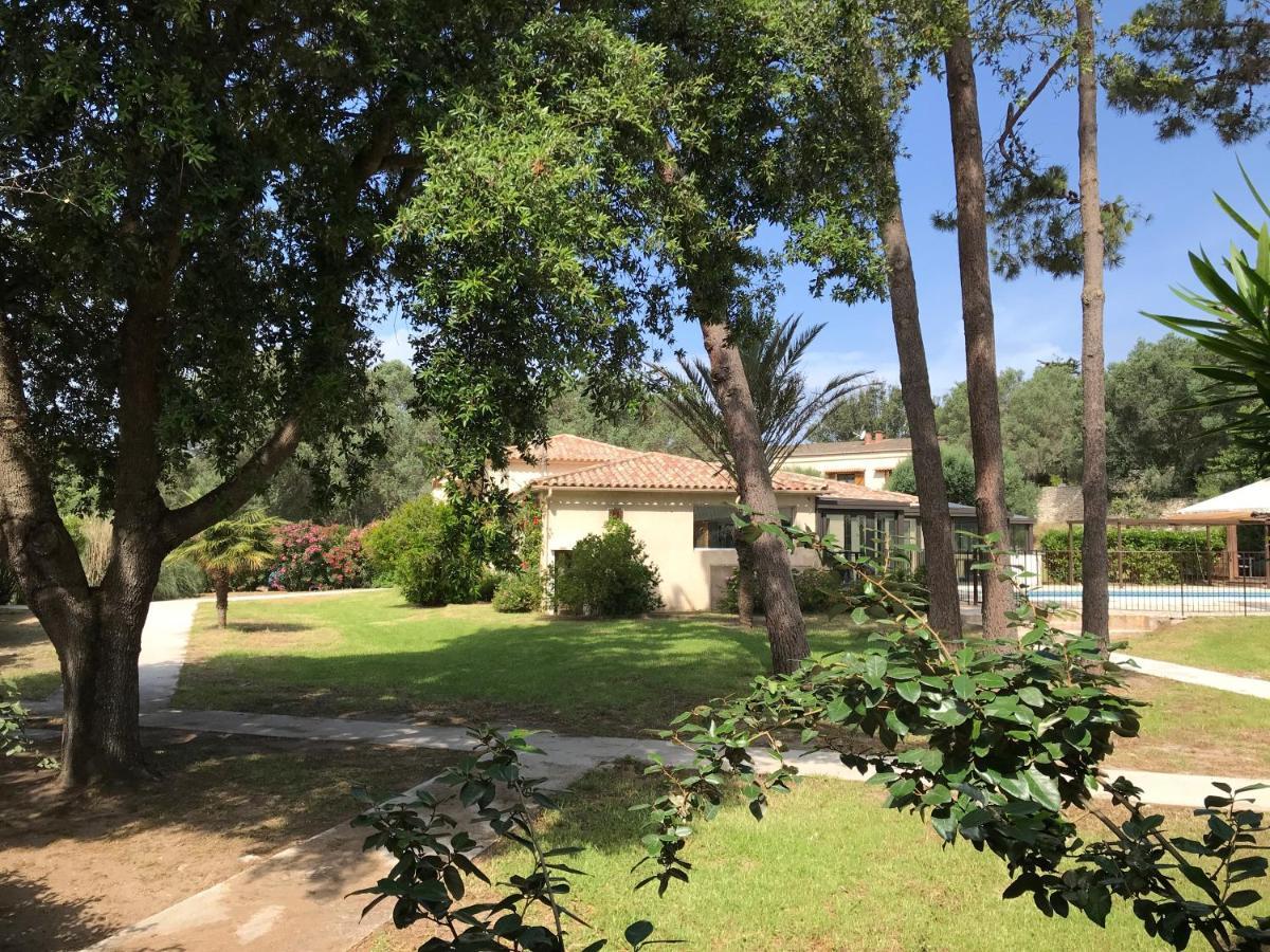 Prea Gianca 3*